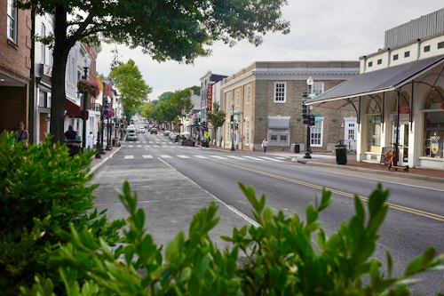 A tree-lined downtown